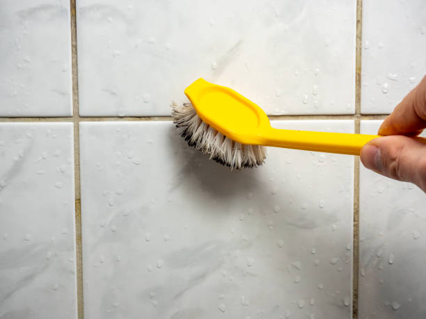 Best Mold Remediation  in Clinton, IA