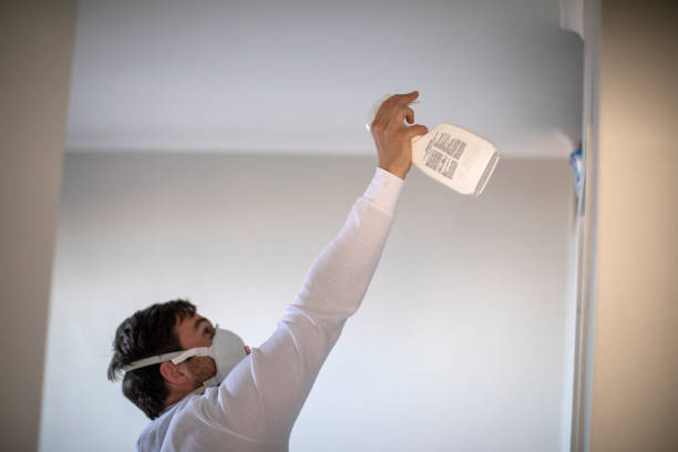 Best Crawl Space Mold Removal  in Clinton, IA