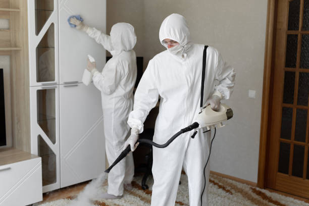 Best Crawl Space Mold Removal  in Clinton, IA