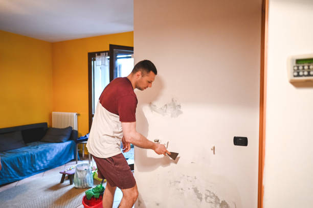Best Mold Cleaning Services  in Clinton, IA